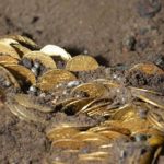 В костеле Польши найден клад золотых монет